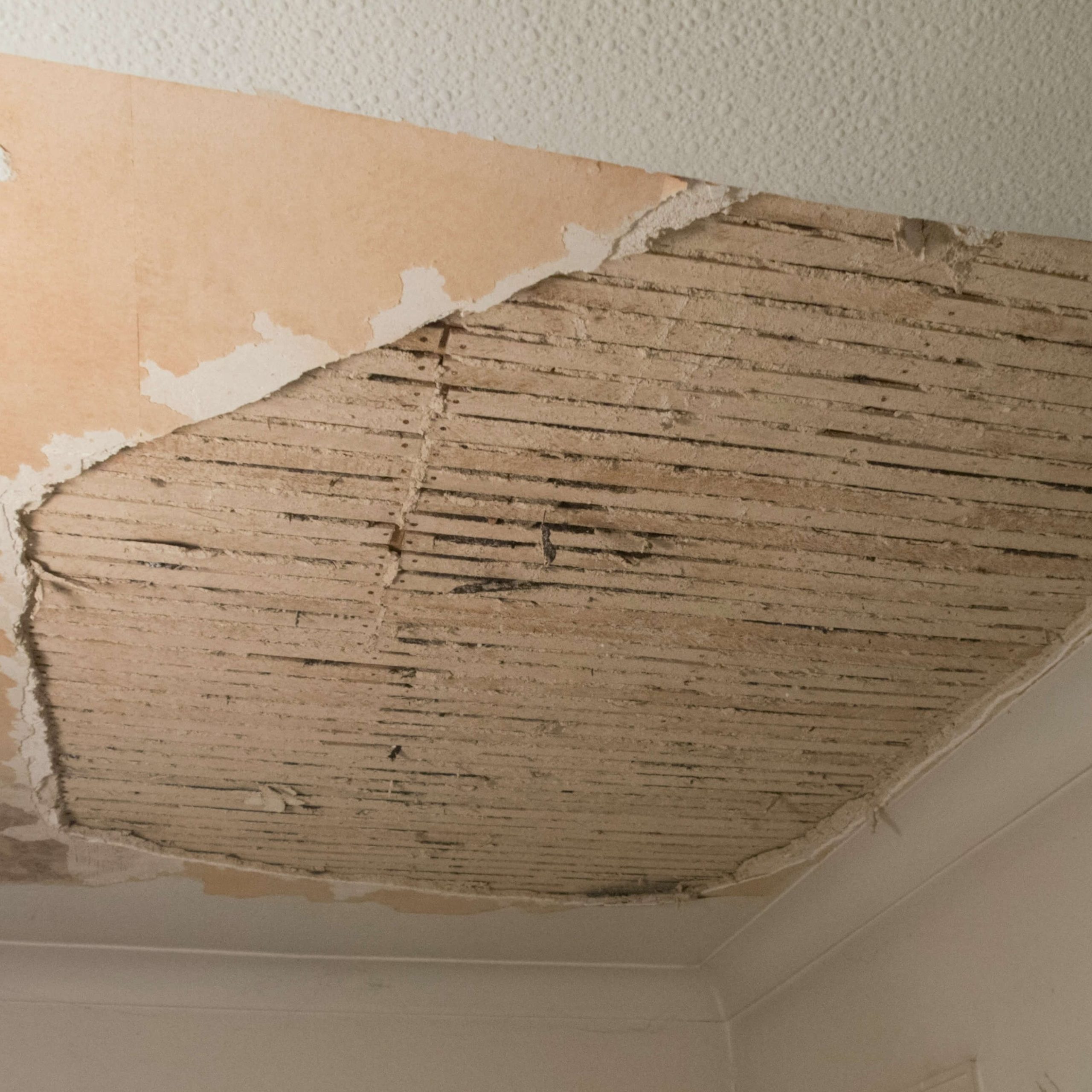 example of dilapidations in a house- exposed ceiling boards as wallpaper has been peeled back and not replaced