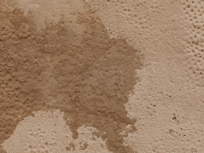 Top Five Common Defects Identified in Diagnosis Reports