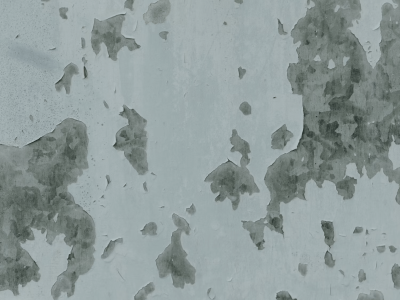 Understanding Damp: What Homeowners Need to Know